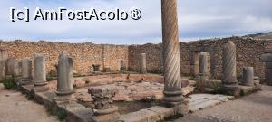 [P28] Volubilis, Casa cu Coloane mai mult sau mai puțin ruinate » foto by mprofeanu
 - 
<span class="allrVoted glyphicon glyphicon-heart hidden" id="av1468602"></span>
<a class="m-l-10 hidden" id="sv1468602" onclick="voting_Foto_DelVot(,1468602,28879)" role="button">șterge vot <span class="glyphicon glyphicon-remove"></span></a>
<a id="v91468602" class=" c-red"  onclick="voting_Foto_SetVot(1468602)" role="button"><span class="glyphicon glyphicon-heart-empty"></span> <b>LIKE</b> = Votează poza</a> <img class="hidden"  id="f1468602W9" src="/imagini/loader.gif" border="0" /><span class="AjErrMes hidden" id="e1468602ErM"></span>