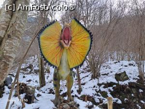 [P68] DexiWorld Park Mălaia - Dilophosaurus » foto by nicole33
 - 
<span class="allrVoted glyphicon glyphicon-heart hidden" id="av1470071"></span>
<a class="m-l-10 hidden" id="sv1470071" onclick="voting_Foto_DelVot(,1470071,28895)" role="button">șterge vot <span class="glyphicon glyphicon-remove"></span></a>
<a id="v91470071" class=" c-red"  onclick="voting_Foto_SetVot(1470071)" role="button"><span class="glyphicon glyphicon-heart-empty"></span> <b>LIKE</b> = Votează poza</a> <img class="hidden"  id="f1470071W9" src="/imagini/loader.gif" border="0" /><span class="AjErrMes hidden" id="e1470071ErM"></span>