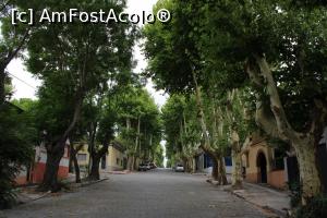 [P12] Colonia del Sacramento, Calle de Lavalleja, doar un exemplu din multele străzi pietruite și străjuite de platani » foto by mprofeanu
 - 
<span class="allrVoted glyphicon glyphicon-heart hidden" id="av1091757"></span>
<a class="m-l-10 hidden" id="sv1091757" onclick="voting_Foto_DelVot(,1091757,28903)" role="button">șterge vot <span class="glyphicon glyphicon-remove"></span></a>
<a id="v91091757" class=" c-red"  onclick="voting_Foto_SetVot(1091757)" role="button"><span class="glyphicon glyphicon-heart-empty"></span> <b>LIKE</b> = Votează poza</a> <img class="hidden"  id="f1091757W9" src="/imagini/loader.gif" border="0" /><span class="AjErrMes hidden" id="e1091757ErM"></span>