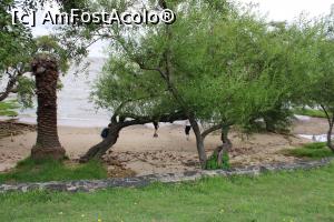 [P20] Colonia del Sacramento, Barrio Histórico, Pe malul fluviului, aproape de Bastión de San Miguel, vizavi este Calle de los Suspiros » foto by mprofeanu
 - 
<span class="allrVoted glyphicon glyphicon-heart hidden" id="av1091769"></span>
<a class="m-l-10 hidden" id="sv1091769" onclick="voting_Foto_DelVot(,1091769,28903)" role="button">șterge vot <span class="glyphicon glyphicon-remove"></span></a>
<a id="v91091769" class=" c-red"  onclick="voting_Foto_SetVot(1091769)" role="button"><span class="glyphicon glyphicon-heart-empty"></span> <b>LIKE</b> = Votează poza</a> <img class="hidden"  id="f1091769W9" src="/imagini/loader.gif" border="0" /><span class="AjErrMes hidden" id="e1091769ErM"></span>