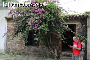 [P54] Colonia del Sacramento, Barrio Histórico, Museo Portugués, La intrare » foto by mprofeanu
 - 
<span class="allrVoted glyphicon glyphicon-heart hidden" id="av1091807"></span>
<a class="m-l-10 hidden" id="sv1091807" onclick="voting_Foto_DelVot(,1091807,28903)" role="button">șterge vot <span class="glyphicon glyphicon-remove"></span></a>
<a id="v91091807" class=" c-red"  onclick="voting_Foto_SetVot(1091807)" role="button"><span class="glyphicon glyphicon-heart-empty"></span> <b>LIKE</b> = Votează poza</a> <img class="hidden"  id="f1091807W9" src="/imagini/loader.gif" border="0" /><span class="AjErrMes hidden" id="e1091807ErM"></span>