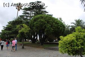 [P61] Colonia del Sacramento, Barrio Histórico, Plaza Mayor, răcoroasă, umbrită de copaci, cu tarabe cu suveniruri și țipete de papagali » foto by mprofeanu
 - 
<span class="allrVoted glyphicon glyphicon-heart hidden" id="av1091814"></span>
<a class="m-l-10 hidden" id="sv1091814" onclick="voting_Foto_DelVot(,1091814,28903)" role="button">șterge vot <span class="glyphicon glyphicon-remove"></span></a>
<a id="v91091814" class=" c-red"  onclick="voting_Foto_SetVot(1091814)" role="button"><span class="glyphicon glyphicon-heart-empty"></span> <b>LIKE</b> = Votează poza</a> <img class="hidden"  id="f1091814W9" src="/imagini/loader.gif" border="0" /><span class="AjErrMes hidden" id="e1091814ErM"></span>