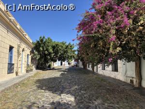 [P21] Stradă în Colonia » foto by AZE
 - 
<span class="allrVoted glyphicon glyphicon-heart hidden" id="av1534894"></span>
<a class="m-l-10 hidden" id="sv1534894" onclick="voting_Foto_DelVot(,1534894,28903)" role="button">șterge vot <span class="glyphicon glyphicon-remove"></span></a>
<a id="v91534894" class=" c-red"  onclick="voting_Foto_SetVot(1534894)" role="button"><span class="glyphicon glyphicon-heart-empty"></span> <b>LIKE</b> = Votează poza</a> <img class="hidden"  id="f1534894W9" src="/imagini/loader.gif" border="0" /><span class="AjErrMes hidden" id="e1534894ErM"></span>