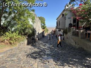 [P23] Stradă în Colonia,în fundla Rio la Plata » foto by AZE
 - 
<span class="allrVoted glyphicon glyphicon-heart hidden" id="av1534896"></span>
<a class="m-l-10 hidden" id="sv1534896" onclick="voting_Foto_DelVot(,1534896,28903)" role="button">șterge vot <span class="glyphicon glyphicon-remove"></span></a>
<a id="v91534896" class=" c-red"  onclick="voting_Foto_SetVot(1534896)" role="button"><span class="glyphicon glyphicon-heart-empty"></span> <b>LIKE</b> = Votează poza</a> <img class="hidden"  id="f1534896W9" src="/imagini/loader.gif" border="0" /><span class="AjErrMes hidden" id="e1534896ErM"></span>