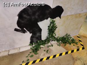 [P28] Muzeul Banksy Cracovia » foto by crismis
 - 
<span class="allrVoted glyphicon glyphicon-heart hidden" id="av1476918"></span>
<a class="m-l-10 hidden" id="sv1476918" onclick="voting_Foto_DelVot(,1476918,28942)" role="button">șterge vot <span class="glyphicon glyphicon-remove"></span></a>
<a id="v91476918" class=" c-red"  onclick="voting_Foto_SetVot(1476918)" role="button"><span class="glyphicon glyphicon-heart-empty"></span> <b>LIKE</b> = Votează poza</a> <img class="hidden"  id="f1476918W9" src="/imagini/loader.gif" border="0" /><span class="AjErrMes hidden" id="e1476918ErM"></span>