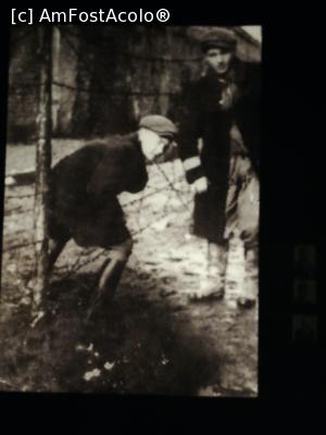 [P19]  -- <small>// FĂRĂ DESCRIERE</small> » foto by fredutza
 - 
<span class="allrVoted glyphicon glyphicon-heart hidden" id="av1110540"></span>
<a class="m-l-10 hidden" id="sv1110540" onclick="voting_Foto_DelVot(,1110540,28942)" role="button">șterge vot <span class="glyphicon glyphicon-remove"></span></a>
<a id="v91110540" class=" c-red"  onclick="voting_Foto_SetVot(1110540)" role="button"><span class="glyphicon glyphicon-heart-empty"></span> <b>LIKE</b> = Votează poza</a> <img class="hidden"  id="f1110540W9" src="/imagini/loader.gif" border="0" /><span class="AjErrMes hidden" id="e1110540ErM"></span>