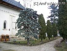 [P04] Alee in curtea manastirii . » foto by cronung
 - 
<span class="allrVoted glyphicon glyphicon-heart hidden" id="av22223"></span>
<a class="m-l-10 hidden" id="sv22223" onclick="voting_Foto_DelVot(,22223,28961)" role="button">șterge vot <span class="glyphicon glyphicon-remove"></span></a>
<a id="v922223" class=" c-red"  onclick="voting_Foto_SetVot(22223)" role="button"><span class="glyphicon glyphicon-heart-empty"></span> <b>LIKE</b> = Votează poza</a> <img class="hidden"  id="f22223W9" src="/imagini/loader.gif" border="0" /><span class="AjErrMes hidden" id="e22223ErM"></span>