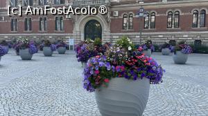 [P32] Florile din piață din fața primăriei » foto by Mika
 - 
<span class="allrVoted glyphicon glyphicon-heart hidden" id="av1481106"></span>
<a class="m-l-10 hidden" id="sv1481106" onclick="voting_Foto_DelVot(,1481106,28968)" role="button">șterge vot <span class="glyphicon glyphicon-remove"></span></a>
<a id="v91481106" class=" c-red"  onclick="voting_Foto_SetVot(1481106)" role="button"><span class="glyphicon glyphicon-heart-empty"></span> <b>LIKE</b> = Votează poza</a> <img class="hidden"  id="f1481106W9" src="/imagini/loader.gif" border="0" /><span class="AjErrMes hidden" id="e1481106ErM"></span>