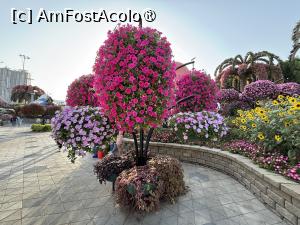 [P49] Miracle Garden Dubai » foto by AZE
 - 
<span class="allrVoted glyphicon glyphicon-heart hidden" id="av1484564"></span>
<a class="m-l-10 hidden" id="sv1484564" onclick="voting_Foto_DelVot(,1484564,28974)" role="button">șterge vot <span class="glyphicon glyphicon-remove"></span></a>
<a id="v91484564" class=" c-red"  onclick="voting_Foto_SetVot(1484564)" role="button"><span class="glyphicon glyphicon-heart-empty"></span> <b>LIKE</b> = Votează poza</a> <img class="hidden"  id="f1484564W9" src="/imagini/loader.gif" border="0" /><span class="AjErrMes hidden" id="e1484564ErM"></span>