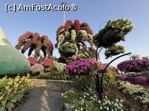 [P52] Miracle Garden Dubai » foto by AZE
 - 
<span class="allrVoted glyphicon glyphicon-heart hidden" id="av1484567"></span>
<a class="m-l-10 hidden" id="sv1484567" onclick="voting_Foto_DelVot(,1484567,28974)" role="button">șterge vot <span class="glyphicon glyphicon-remove"></span></a>
<a id="v91484567" class=" c-red"  onclick="voting_Foto_SetVot(1484567)" role="button"><span class="glyphicon glyphicon-heart-empty"></span> <b>LIKE</b> = Votează poza</a> <img class="hidden"  id="f1484567W9" src="/imagini/loader.gif" border="0" /><span class="AjErrMes hidden" id="e1484567ErM"></span>