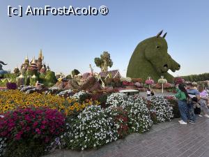 [P71] Miracle Garden Dubai » foto by AZE
 - 
<span class="allrVoted glyphicon glyphicon-heart hidden" id="av1484586"></span>
<a class="m-l-10 hidden" id="sv1484586" onclick="voting_Foto_DelVot(,1484586,28974)" role="button">șterge vot <span class="glyphicon glyphicon-remove"></span></a>
<a id="v91484586" class=" c-red"  onclick="voting_Foto_SetVot(1484586)" role="button"><span class="glyphicon glyphicon-heart-empty"></span> <b>LIKE</b> = Votează poza</a> <img class="hidden"  id="f1484586W9" src="/imagini/loader.gif" border="0" /><span class="AjErrMes hidden" id="e1484586ErM"></span>