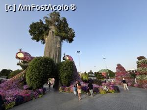 [P72] Miracle Garden Dubai » foto by AZE
 - 
<span class="allrVoted glyphicon glyphicon-heart hidden" id="av1484587"></span>
<a class="m-l-10 hidden" id="sv1484587" onclick="voting_Foto_DelVot(,1484587,28974)" role="button">șterge vot <span class="glyphicon glyphicon-remove"></span></a>
<a id="v91484587" class=" c-red"  onclick="voting_Foto_SetVot(1484587)" role="button"><span class="glyphicon glyphicon-heart-empty"></span> <b>LIKE</b> = Votează poza</a> <img class="hidden"  id="f1484587W9" src="/imagini/loader.gif" border="0" /><span class="AjErrMes hidden" id="e1484587ErM"></span>