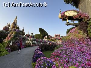 [P74] Miracle Garden Dubai » foto by AZE
 - 
<span class="allrVoted glyphicon glyphicon-heart hidden" id="av1484589"></span>
<a class="m-l-10 hidden" id="sv1484589" onclick="voting_Foto_DelVot(,1484589,28974)" role="button">șterge vot <span class="glyphicon glyphicon-remove"></span></a>
<a id="v91484589" class=" c-red"  onclick="voting_Foto_SetVot(1484589)" role="button"><span class="glyphicon glyphicon-heart-empty"></span> <b>LIKE</b> = Votează poza</a> <img class="hidden"  id="f1484589W9" src="/imagini/loader.gif" border="0" /><span class="AjErrMes hidden" id="e1484589ErM"></span>