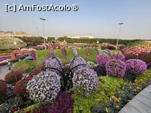 [P76] Miracle Garden Dubai » foto by AZE
 - 
<span class="allrVoted glyphicon glyphicon-heart hidden" id="av1484591"></span>
<a class="m-l-10 hidden" id="sv1484591" onclick="voting_Foto_DelVot(,1484591,28974)" role="button">șterge vot <span class="glyphicon glyphicon-remove"></span></a>
<a id="v91484591" class=" c-red"  onclick="voting_Foto_SetVot(1484591)" role="button"><span class="glyphicon glyphicon-heart-empty"></span> <b>LIKE</b> = Votează poza</a> <img class="hidden"  id="f1484591W9" src="/imagini/loader.gif" border="0" /><span class="AjErrMes hidden" id="e1484591ErM"></span>