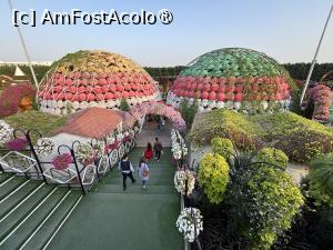[P78] Miracle Garden Dubai » foto by AZE
 - 
<span class="allrVoted glyphicon glyphicon-heart hidden" id="av1484593"></span>
<a class="m-l-10 hidden" id="sv1484593" onclick="voting_Foto_DelVot(,1484593,28974)" role="button">șterge vot <span class="glyphicon glyphicon-remove"></span></a>
<a id="v91484593" class=" c-red"  onclick="voting_Foto_SetVot(1484593)" role="button"><span class="glyphicon glyphicon-heart-empty"></span> <b>LIKE</b> = Votează poza</a> <img class="hidden"  id="f1484593W9" src="/imagini/loader.gif" border="0" /><span class="AjErrMes hidden" id="e1484593ErM"></span>