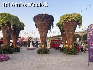 [P81] Miracle Garden Dubai » foto by AZE
 - 
<span class="allrVoted glyphicon glyphicon-heart hidden" id="av1484596"></span>
<a class="m-l-10 hidden" id="sv1484596" onclick="voting_Foto_DelVot(,1484596,28974)" role="button">șterge vot <span class="glyphicon glyphicon-remove"></span></a>
<a id="v91484596" class=" c-red"  onclick="voting_Foto_SetVot(1484596)" role="button"><span class="glyphicon glyphicon-heart-empty"></span> <b>LIKE</b> = Votează poza</a> <img class="hidden"  id="f1484596W9" src="/imagini/loader.gif" border="0" /><span class="AjErrMes hidden" id="e1484596ErM"></span>