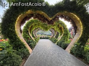 [P83] Miracle Garden Dubai » foto by AZE
 - 
<span class="allrVoted glyphicon glyphicon-heart hidden" id="av1484598"></span>
<a class="m-l-10 hidden" id="sv1484598" onclick="voting_Foto_DelVot(,1484598,28974)" role="button">șterge vot <span class="glyphicon glyphicon-remove"></span></a>
<a id="v91484598" class=" c-red"  onclick="voting_Foto_SetVot(1484598)" role="button"><span class="glyphicon glyphicon-heart-empty"></span> <b>LIKE</b> = Votează poza</a> <img class="hidden"  id="f1484598W9" src="/imagini/loader.gif" border="0" /><span class="AjErrMes hidden" id="e1484598ErM"></span>