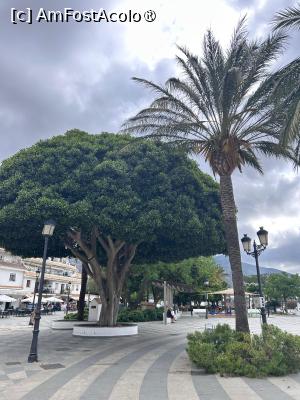 [P26] Mijas - prin sat » foto by ANILU
 - 
<span class="allrVoted glyphicon glyphicon-heart hidden" id="av1486635"></span>
<a class="m-l-10 hidden" id="sv1486635" onclick="voting_Foto_DelVot(,1486635,29019)" role="button">șterge vot <span class="glyphicon glyphicon-remove"></span></a>
<a id="v91486635" class=" c-red"  onclick="voting_Foto_SetVot(1486635)" role="button"><span class="glyphicon glyphicon-heart-empty"></span> <b>LIKE</b> = Votează poza</a> <img class="hidden"  id="f1486635W9" src="/imagini/loader.gif" border="0" /><span class="AjErrMes hidden" id="e1486635ErM"></span>