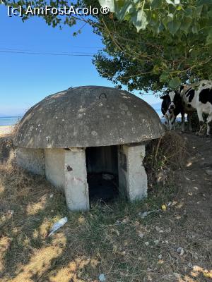 [P06] Buncar de pe vremea lui Hogea. Nu in statiune ci pe malul lacului, inspre satucul vechi » foto by Trank
 - 
<span class="allrVoted glyphicon glyphicon-heart hidden" id="av1487405"></span>
<a class="m-l-10 hidden" id="sv1487405" onclick="voting_Foto_DelVot(,1487405,29024)" role="button">șterge vot <span class="glyphicon glyphicon-remove"></span></a>
<a id="v91487405" class=" c-red"  onclick="voting_Foto_SetVot(1487405)" role="button"><span class="glyphicon glyphicon-heart-empty"></span> <b>LIKE</b> = Votează poza</a> <img class="hidden"  id="f1487405W9" src="/imagini/loader.gif" border="0" /><span class="AjErrMes hidden" id="e1487405ErM"></span>