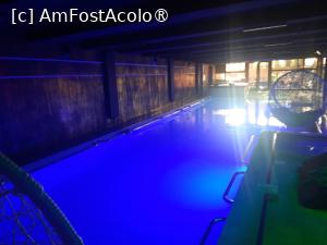 [P30] Piscina din alt unghi » foto by roxxie
 - 
<span class="allrVoted glyphicon glyphicon-heart hidden" id="av1487894"></span>
<a class="m-l-10 hidden" id="sv1487894" onclick="voting_Foto_DelVot(,1487894,29027)" role="button">șterge vot <span class="glyphicon glyphicon-remove"></span></a>
<a id="v91487894" class=" c-red"  onclick="voting_Foto_SetVot(1487894)" role="button"><span class="glyphicon glyphicon-heart-empty"></span> <b>LIKE</b> = Votează poza</a> <img class="hidden"  id="f1487894W9" src="/imagini/loader.gif" border="0" /><span class="AjErrMes hidden" id="e1487894ErM"></span>