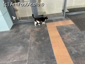 [P50] Un prieten » foto by nicole33
 - 
<span class="allrVoted glyphicon glyphicon-heart hidden" id="av1513070"></span>
<a class="m-l-10 hidden" id="sv1513070" onclick="voting_Foto_DelVot(,1513070,29052)" role="button">șterge vot <span class="glyphicon glyphicon-remove"></span></a>
<a id="v91513070" class=" c-red"  onclick="voting_Foto_SetVot(1513070)" role="button"><span class="glyphicon glyphicon-heart-empty"></span> <b>LIKE</b> = Votează poza</a> <img class="hidden"  id="f1513070W9" src="/imagini/loader.gif" border="0" /><span class="AjErrMes hidden" id="e1513070ErM"></span>