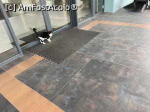 [P51] un prieten » foto by nicole33
 - 
<span class="allrVoted glyphicon glyphicon-heart hidden" id="av1513071"></span>
<a class="m-l-10 hidden" id="sv1513071" onclick="voting_Foto_DelVot(,1513071,29052)" role="button">șterge vot <span class="glyphicon glyphicon-remove"></span></a>
<a id="v91513071" class=" c-red"  onclick="voting_Foto_SetVot(1513071)" role="button"><span class="glyphicon glyphicon-heart-empty"></span> <b>LIKE</b> = Votează poza</a> <img class="hidden"  id="f1513071W9" src="/imagini/loader.gif" border="0" /><span class="AjErrMes hidden" id="e1513071ErM"></span>