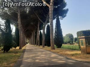 [P21] Villa Barberini » foto by adso
 - 
<span class="allrVoted glyphicon glyphicon-heart hidden" id="av1491965"></span>
<a class="m-l-10 hidden" id="sv1491965" onclick="voting_Foto_DelVot(,1491965,29060)" role="button">șterge vot <span class="glyphicon glyphicon-remove"></span></a>
<a id="v91491965" class=" c-red"  onclick="voting_Foto_SetVot(1491965)" role="button"><span class="glyphicon glyphicon-heart-empty"></span> <b>LIKE</b> = Votează poza</a> <img class="hidden"  id="f1491965W9" src="/imagini/loader.gif" border="0" /><span class="AjErrMes hidden" id="e1491965ErM"></span>