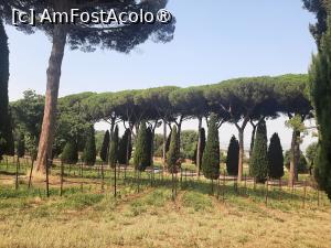 [P24] Villa Barberini » foto by adso
 - 
<span class="allrVoted glyphicon glyphicon-heart hidden" id="av1491968"></span>
<a class="m-l-10 hidden" id="sv1491968" onclick="voting_Foto_DelVot(,1491968,29060)" role="button">șterge vot <span class="glyphicon glyphicon-remove"></span></a>
<a id="v91491968" class=" c-red"  onclick="voting_Foto_SetVot(1491968)" role="button"><span class="glyphicon glyphicon-heart-empty"></span> <b>LIKE</b> = Votează poza</a> <img class="hidden"  id="f1491968W9" src="/imagini/loader.gif" border="0" /><span class="AjErrMes hidden" id="e1491968ErM"></span>