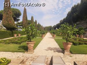 [P36] Villa Barberini » foto by adso
 - 
<span class="allrVoted glyphicon glyphicon-heart hidden" id="av1491980"></span>
<a class="m-l-10 hidden" id="sv1491980" onclick="voting_Foto_DelVot(,1491980,29060)" role="button">șterge vot <span class="glyphicon glyphicon-remove"></span></a>
<a id="v91491980" class=" c-red"  onclick="voting_Foto_SetVot(1491980)" role="button"><span class="glyphicon glyphicon-heart-empty"></span> <b>LIKE</b> = Votează poza</a> <img class="hidden"  id="f1491980W9" src="/imagini/loader.gif" border="0" /><span class="AjErrMes hidden" id="e1491980ErM"></span>