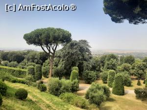 [P40] Villa Barberini » foto by adso
 - 
<span class="allrVoted glyphicon glyphicon-heart hidden" id="av1491984"></span>
<a class="m-l-10 hidden" id="sv1491984" onclick="voting_Foto_DelVot(,1491984,29060)" role="button">șterge vot <span class="glyphicon glyphicon-remove"></span></a>
<a id="v91491984" class=" c-red"  onclick="voting_Foto_SetVot(1491984)" role="button"><span class="glyphicon glyphicon-heart-empty"></span> <b>LIKE</b> = Votează poza</a> <img class="hidden"  id="f1491984W9" src="/imagini/loader.gif" border="0" /><span class="AjErrMes hidden" id="e1491984ErM"></span>