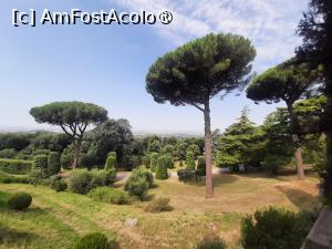 [P42] Villa Barberini » foto by adso
 - 
<span class="allrVoted glyphicon glyphicon-heart hidden" id="av1491986"></span>
<a class="m-l-10 hidden" id="sv1491986" onclick="voting_Foto_DelVot(,1491986,29060)" role="button">șterge vot <span class="glyphicon glyphicon-remove"></span></a>
<a id="v91491986" class=" c-red"  onclick="voting_Foto_SetVot(1491986)" role="button"><span class="glyphicon glyphicon-heart-empty"></span> <b>LIKE</b> = Votează poza</a> <img class="hidden"  id="f1491986W9" src="/imagini/loader.gif" border="0" /><span class="AjErrMes hidden" id="e1491986ErM"></span>