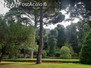 [P61] Villa Barberini » foto by adso
 - 
<span class="allrVoted glyphicon glyphicon-heart hidden" id="av1492005"></span>
<a class="m-l-10 hidden" id="sv1492005" onclick="voting_Foto_DelVot(,1492005,29060)" role="button">șterge vot <span class="glyphicon glyphicon-remove"></span></a>
<a id="v91492005" class=" c-red"  onclick="voting_Foto_SetVot(1492005)" role="button"><span class="glyphicon glyphicon-heart-empty"></span> <b>LIKE</b> = Votează poza</a> <img class="hidden"  id="f1492005W9" src="/imagini/loader.gif" border="0" /><span class="AjErrMes hidden" id="e1492005ErM"></span>