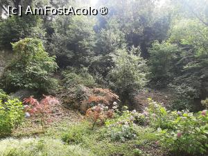 [P64] Villa Barberini » foto by adso
 - 
<span class="allrVoted glyphicon glyphicon-heart hidden" id="av1492008"></span>
<a class="m-l-10 hidden" id="sv1492008" onclick="voting_Foto_DelVot(,1492008,29060)" role="button">șterge vot <span class="glyphicon glyphicon-remove"></span></a>
<a id="v91492008" class=" c-red"  onclick="voting_Foto_SetVot(1492008)" role="button"><span class="glyphicon glyphicon-heart-empty"></span> <b>LIKE</b> = Votează poza</a> <img class="hidden"  id="f1492008W9" src="/imagini/loader.gif" border="0" /><span class="AjErrMes hidden" id="e1492008ErM"></span>