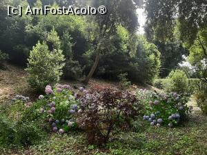 [P65] Villa Barberini » foto by adso
 - 
<span class="allrVoted glyphicon glyphicon-heart hidden" id="av1492009"></span>
<a class="m-l-10 hidden" id="sv1492009" onclick="voting_Foto_DelVot(,1492009,29060)" role="button">șterge vot <span class="glyphicon glyphicon-remove"></span></a>
<a id="v91492009" class=" c-red"  onclick="voting_Foto_SetVot(1492009)" role="button"><span class="glyphicon glyphicon-heart-empty"></span> <b>LIKE</b> = Votează poza</a> <img class="hidden"  id="f1492009W9" src="/imagini/loader.gif" border="0" /><span class="AjErrMes hidden" id="e1492009ErM"></span>