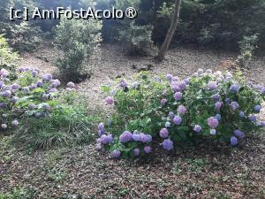 [P69] Villa Barberini » foto by adso
 - 
<span class="allrVoted glyphicon glyphicon-heart hidden" id="av1492013"></span>
<a class="m-l-10 hidden" id="sv1492013" onclick="voting_Foto_DelVot(,1492013,29060)" role="button">șterge vot <span class="glyphicon glyphicon-remove"></span></a>
<a id="v91492013" class=" c-red"  onclick="voting_Foto_SetVot(1492013)" role="button"><span class="glyphicon glyphicon-heart-empty"></span> <b>LIKE</b> = Votează poza</a> <img class="hidden"  id="f1492013W9" src="/imagini/loader.gif" border="0" /><span class="AjErrMes hidden" id="e1492013ErM"></span>