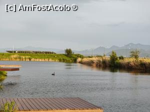 [P08] Serenity Resort - lacul cu lebede » foto by crismis
 - 
<span class="allrVoted glyphicon glyphicon-heart hidden" id="av1493163"></span>
<a class="m-l-10 hidden" id="sv1493163" onclick="voting_Foto_DelVot(,1493163,29074)" role="button">șterge vot <span class="glyphicon glyphicon-remove"></span></a>
<a id="v91493163" class=" c-red"  onclick="voting_Foto_SetVot(1493163)" role="button"><span class="glyphicon glyphicon-heart-empty"></span> <b>LIKE</b> = Votează poza</a> <img class="hidden"  id="f1493163W9" src="/imagini/loader.gif" border="0" /><span class="AjErrMes hidden" id="e1493163ErM"></span>