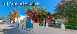 [P50] Taverna To Rodino din Maltezana (Analipsi) » foto by irinad
 - 
<span class="allrVoted glyphicon glyphicon-heart hidden" id="av1493526"></span>
<a class="m-l-10 hidden" id="sv1493526" onclick="voting_Foto_DelVot(,1493526,29075)" role="button">șterge vot <span class="glyphicon glyphicon-remove"></span></a>
<a id="v91493526" class=" c-red"  onclick="voting_Foto_SetVot(1493526)" role="button"><span class="glyphicon glyphicon-heart-empty"></span> <b>LIKE</b> = Votează poza</a> <img class="hidden"  id="f1493526W9" src="/imagini/loader.gif" border="0" /><span class="AjErrMes hidden" id="e1493526ErM"></span>