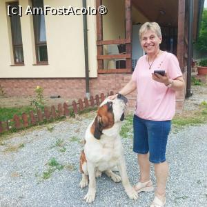 [P08]  -- <small>// FĂRĂ DESCRIERE</small> » foto by sorynneagu
 - 
<span class="allrVoted glyphicon glyphicon-heart hidden" id="av1495299"></span>
<a class="m-l-10 hidden" id="sv1495299" onclick="voting_Foto_DelVot(,1495299,29091)" role="button">șterge vot <span class="glyphicon glyphicon-remove"></span></a>
<a id="v91495299" class=" c-red"  onclick="voting_Foto_SetVot(1495299)" role="button"><span class="glyphicon glyphicon-heart-empty"></span> <b>LIKE</b> = Votează poza</a> <img class="hidden"  id="f1495299W9" src="/imagini/loader.gif" border="0" /><span class="AjErrMes hidden" id="e1495299ErM"></span>