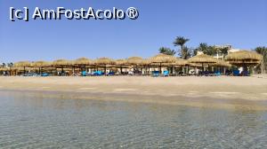 [P40]  -- <small>// FĂRĂ DESCRIERE</small> » foto by elenaadina
 - 
<span class="allrVoted glyphicon glyphicon-heart hidden" id="av1501867"></span>
<a class="m-l-10 hidden" id="sv1501867" onclick="voting_Foto_DelVot(,1501867,29144)" role="button">șterge vot <span class="glyphicon glyphicon-remove"></span></a>
<a id="v91501867" class=" c-red"  onclick="voting_Foto_SetVot(1501867)" role="button"><span class="glyphicon glyphicon-heart-empty"></span> <b>LIKE</b> = Votează poza</a> <img class="hidden"  id="f1501867W9" src="/imagini/loader.gif" border="0" /><span class="AjErrMes hidden" id="e1501867ErM"></span>