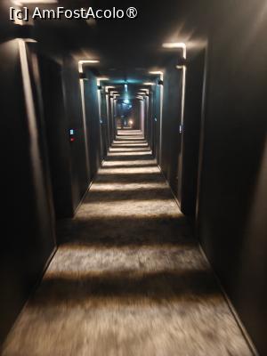 [P07] B The Hotel - holul de la etajul 3 » foto by creivean
 - 
<span class="allrVoted glyphicon glyphicon-heart hidden" id="av1504712"></span>
<a class="m-l-10 hidden" id="sv1504712" onclick="voting_Foto_DelVot(,1504712,29167)" role="button">șterge vot <span class="glyphicon glyphicon-remove"></span></a>
<a id="v91504712" class=" c-red"  onclick="voting_Foto_SetVot(1504712)" role="button"><span class="glyphicon glyphicon-heart-empty"></span> <b>LIKE</b> = Votează poza</a> <img class="hidden"  id="f1504712W9" src="/imagini/loader.gif" border="0" /><span class="AjErrMes hidden" id="e1504712ErM"></span>