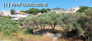 [P25] Anestis - vedere de pe terasa mea » foto by Carmen Ion
 - 
<span class="allrVoted glyphicon glyphicon-heart hidden" id="av1507730"></span>
<a class="m-l-10 hidden" id="sv1507730" onclick="voting_Foto_DelVot(,1507730,29182)" role="button">șterge vot <span class="glyphicon glyphicon-remove"></span></a>
<a id="v91507730" class=" c-red"  onclick="voting_Foto_SetVot(1507730)" role="button"><span class="glyphicon glyphicon-heart-empty"></span> <b>LIKE</b> = Votează poza</a> <img class="hidden"  id="f1507730W9" src="/imagini/loader.gif" border="0" /><span class="AjErrMes hidden" id="e1507730ErM"></span>