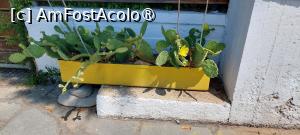 [P30] Vila Anestis - curtea » foto by Carmen Ion
 - 
<span class="allrVoted glyphicon glyphicon-heart hidden" id="av1507735"></span>
<a class="m-l-10 hidden" id="sv1507735" onclick="voting_Foto_DelVot(,1507735,29182)" role="button">șterge vot <span class="glyphicon glyphicon-remove"></span></a>
<a id="v91507735" class=" c-red"  onclick="voting_Foto_SetVot(1507735)" role="button"><span class="glyphicon glyphicon-heart-empty"></span> <b>LIKE</b> = Votează poza</a> <img class="hidden"  id="f1507735W9" src="/imagini/loader.gif" border="0" /><span class="AjErrMes hidden" id="e1507735ErM"></span>