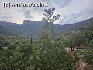 [P27] Măslini, roșcovi... » foto by DOINITA
 - 
<span class="allrVoted glyphicon glyphicon-heart hidden" id="av1509201"></span>
<a class="m-l-10 hidden" id="sv1509201" onclick="voting_Foto_DelVot(,1509201,29190)" role="button">șterge vot <span class="glyphicon glyphicon-remove"></span></a>
<a id="v91509201" class=" c-red"  onclick="voting_Foto_SetVot(1509201)" role="button"><span class="glyphicon glyphicon-heart-empty"></span> <b>LIKE</b> = Votează poza</a> <img class="hidden"  id="f1509201W9" src="/imagini/loader.gif" border="0" /><span class="AjErrMes hidden" id="e1509201ErM"></span>