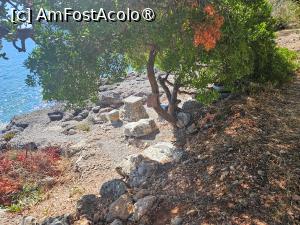 [P39] Prin natură » foto by DOINITA
 - 
<span class="allrVoted glyphicon glyphicon-heart hidden" id="av1509213"></span>
<a class="m-l-10 hidden" id="sv1509213" onclick="voting_Foto_DelVot(,1509213,29190)" role="button">șterge vot <span class="glyphicon glyphicon-remove"></span></a>
<a id="v91509213" class=" c-red"  onclick="voting_Foto_SetVot(1509213)" role="button"><span class="glyphicon glyphicon-heart-empty"></span> <b>LIKE</b> = Votează poza</a> <img class="hidden"  id="f1509213W9" src="/imagini/loader.gif" border="0" /><span class="AjErrMes hidden" id="e1509213ErM"></span>