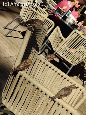 [P59] Bestiile flămânde pândesc... » foto by crismis
 - 
<span class="allrVoted glyphicon glyphicon-heart hidden" id="av1509727"></span>
<a class="m-l-10 hidden" id="sv1509727" onclick="voting_Foto_DelVot(,1509727,29195)" role="button">șterge vot <span class="glyphicon glyphicon-remove"></span></a>
<a id="v91509727" class=" c-red"  onclick="voting_Foto_SetVot(1509727)" role="button"><span class="glyphicon glyphicon-heart-empty"></span> <b>LIKE</b> = Votează poza</a> <img class="hidden"  id="f1509727W9" src="/imagini/loader.gif" border="0" /><span class="AjErrMes hidden" id="e1509727ErM"></span>