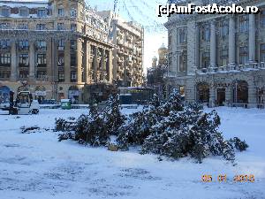 [P45] Bucharest Christmas Market și-a închis porțile. Falnicul brad a fost doborât.  » foto by iulianic
 - 
<span class="allrVoted glyphicon glyphicon-heart hidden" id="av704419"></span>
<a class="m-l-10 hidden" id="sv704419" onclick="voting_Foto_DelVot(,704419,29197)" role="button">șterge vot <span class="glyphicon glyphicon-remove"></span></a>
<a id="v9704419" class=" c-red"  onclick="voting_Foto_SetVot(704419)" role="button"><span class="glyphicon glyphicon-heart-empty"></span> <b>LIKE</b> = Votează poza</a> <img class="hidden"  id="f704419W9" src="/imagini/loader.gif" border="0" /><span class="AjErrMes hidden" id="e704419ErM"></span>