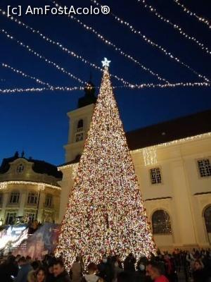 [P19] Bradul din piața mare » foto by nelu73
 - 
&lt;span class=&quot;allrVoted glyphicon glyphicon-heart hidden&quot; id=&quot;av1266914&quot;&gt;&lt;/span&gt;
&lt;a class=&quot;m-l-10 hidden&quot; id=&quot;sv1266914&quot; onclick=&quot;voting_Foto_DelVot(,1266914,29199)&quot; role=&quot;button&quot;&gt;șterge vot &lt;span class=&quot;glyphicon glyphicon-remove&quot;&gt;&lt;/span&gt;&lt;/a&gt;
&lt;a id=&quot;v91266914&quot; class=&quot; c-red&quot;  onclick=&quot;voting_Foto_SetVot(1266914)&quot; role=&quot;button&quot;&gt;&lt;span class=&quot;glyphicon glyphicon-heart-empty&quot;&gt;&lt;/span&gt; &lt;b&gt;LIKE&lt;/b&gt; = Votează poza&lt;/a&gt; &lt;img class=&quot;hidden&quot;  id=&quot;f1266914W9&quot; src=&quot;/imagini/loader.gif&quot; border=&quot;0&quot; /&gt;&lt;span class=&quot;AjErrMes hidden&quot; id=&quot;e1266914ErM&quot;&gt;&lt;/span&gt;