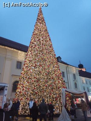 [P14] Bradul din t&acirc;rgul de Crăciun » foto by nelu73
 - 
&lt;span class=&quot;allrVoted glyphicon glyphicon-heart hidden&quot; id=&quot;av1341245&quot;&gt;&lt;/span&gt;
&lt;a class=&quot;m-l-10 hidden&quot; id=&quot;sv1341245&quot; onclick=&quot;voting_Foto_DelVot(,1341245,29199)&quot; role=&quot;button&quot;&gt;șterge vot &lt;span class=&quot;glyphicon glyphicon-remove&quot;&gt;&lt;/span&gt;&lt;/a&gt;
&lt;a id=&quot;v91341245&quot; class=&quot; c-red&quot;  onclick=&quot;voting_Foto_SetVot(1341245)&quot; role=&quot;button&quot;&gt;&lt;span class=&quot;glyphicon glyphicon-heart-empty&quot;&gt;&lt;/span&gt; &lt;b&gt;LIKE&lt;/b&gt; = Votează poza&lt;/a&gt; &lt;img class=&quot;hidden&quot;  id=&quot;f1341245W9&quot; src=&quot;/imagini/loader.gif&quot; border=&quot;0&quot; /&gt;&lt;span class=&quot;AjErrMes hidden&quot; id=&quot;e1341245ErM&quot;&gt;&lt;/span&gt;