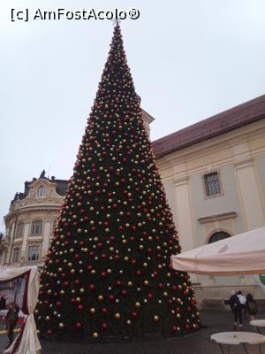 [P19] Bradul ziua » foto by nelu73
 - 
&lt;span class=&quot;allrVoted glyphicon glyphicon-heart hidden&quot; id=&quot;av1341250&quot;&gt;&lt;/span&gt;
&lt;a class=&quot;m-l-10 hidden&quot; id=&quot;sv1341250&quot; onclick=&quot;voting_Foto_DelVot(,1341250,29199)&quot; role=&quot;button&quot;&gt;șterge vot &lt;span class=&quot;glyphicon glyphicon-remove&quot;&gt;&lt;/span&gt;&lt;/a&gt;
&lt;a id=&quot;v91341250&quot; class=&quot; c-red&quot;  onclick=&quot;voting_Foto_SetVot(1341250)&quot; role=&quot;button&quot;&gt;&lt;span class=&quot;glyphicon glyphicon-heart-empty&quot;&gt;&lt;/span&gt; &lt;b&gt;LIKE&lt;/b&gt; = Votează poza&lt;/a&gt; &lt;img class=&quot;hidden&quot;  id=&quot;f1341250W9&quot; src=&quot;/imagini/loader.gif&quot; border=&quot;0&quot; /&gt;&lt;span class=&quot;AjErrMes hidden&quot; id=&quot;e1341250ErM&quot;&gt;&lt;/span&gt;