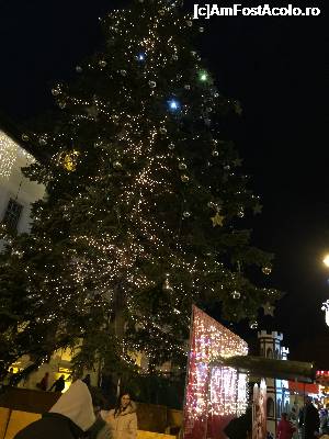 [P17] bradul mare » foto by Dan&Ema
 - 
&lt;span class=&quot;allrVoted glyphicon glyphicon-heart hidden&quot; id=&quot;av696645&quot;&gt;&lt;/span&gt;
&lt;a class=&quot;m-l-10 hidden&quot; id=&quot;sv696645&quot; onclick=&quot;voting_Foto_DelVot(,696645,29199)&quot; role=&quot;button&quot;&gt;șterge vot &lt;span class=&quot;glyphicon glyphicon-remove&quot;&gt;&lt;/span&gt;&lt;/a&gt;
&lt;a id=&quot;v9696645&quot; class=&quot; c-red&quot;  onclick=&quot;voting_Foto_SetVot(696645)&quot; role=&quot;button&quot;&gt;&lt;span class=&quot;glyphicon glyphicon-heart-empty&quot;&gt;&lt;/span&gt; &lt;b&gt;LIKE&lt;/b&gt; = Votează poza&lt;/a&gt; &lt;img class=&quot;hidden&quot;  id=&quot;f696645W9&quot; src=&quot;/imagini/loader.gif&quot; border=&quot;0&quot; /&gt;&lt;span class=&quot;AjErrMes hidden&quot; id=&quot;e696645ErM&quot;&gt;&lt;/span&gt;